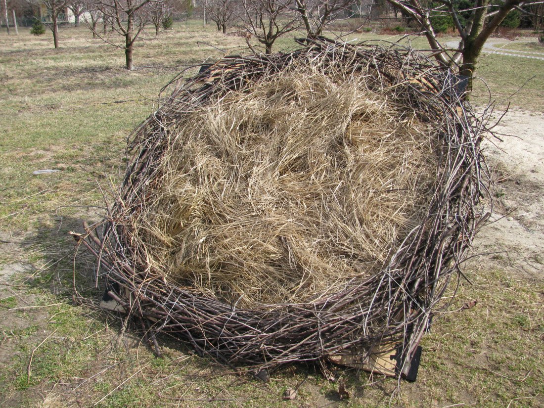 Gniazdo Jerzego Pilcha </br>„Akurat okorowywałem pień, który przywiozłem z tartaku, kiedy zadzwonił Pilch: </br>– Co słychać? </br>– Szykuję gniazdo bocianom. </br>– Słuchaj, marnie się czuję, pomyśl 